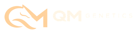 QM Genetics